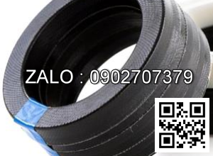 Phốt PG4401100-M12N