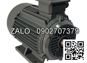 Motor điện chân đế MS-631-2-B3, công suất : 0.18kW , Đường kính trục : 11mm , Tốc độ : 2 Cực ( ~2800 Vòng/Phút)