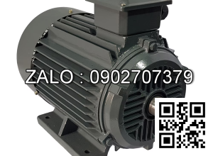 Motor điện chân đế YE2-90L-2-B3, công suất : 2.2kW , Đường kính trục : 24mm , Tốc độ : 2 Cực ( ~2800 Vòng/Phút)