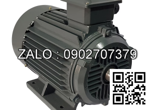 Motor điện chân đế YE2-225M-4-B3, công suất : 45kW , Đường kính trục : 60mm , Tốc độ : 4 Cực ( ~1400 Vòng/Phút)