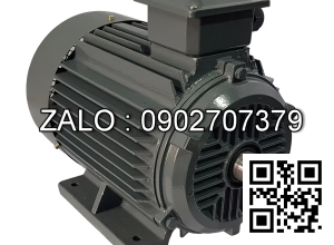 Motor điện mặt bích YE2-132S2-2-B5 , Công suất : 7.5kW , Đường kính trục : 38mm , Tốc độ : 2 Cực ( ~2800 Vòng/Phút)