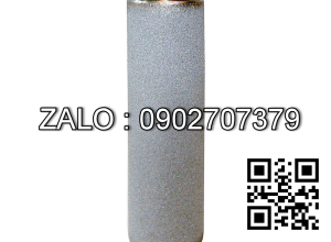 Lỏi lọc Steam, P/N: P-GS 05/25,Donaldson