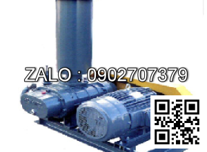 Máy Thổi Khí HEYWEL RSS-300