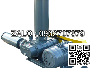 Máy Thổi Khí HEYWEL RSS-250