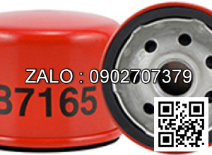 Lọc Baldwin B7165