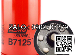 Lọc B7125 Baldwin