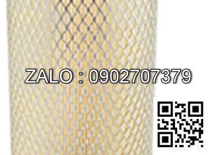 Lọc Baldwin PA2545