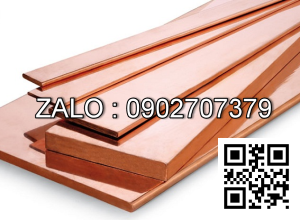 Đồng thanh cái C1100