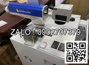 Hệ thống laser chuyên khắc nhãn mác (online trên dây chuyển SX)