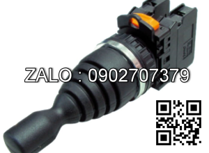 Công tắc 2 vị trí tự hồi TN3MR2R-2, phi 30 - 2A - 220VAC, 4NO