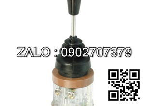 Công tắc cần gạt 4 vị trí tự hồi LEL-04-1