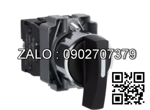 Công tắc Schneider XB2-BJ53C