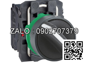 Công tắc XB5AD25