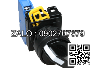 Công tắc xoay 2 vị trí YW1S-21E20