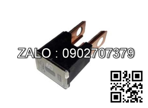 cầu chì 80A TOYOTA 7FDN15~30