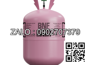 Bình gas lạnh BNF R32 10 kg