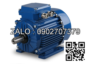 Motor điện 3 pha 0.35KW - 0.5HP 4 cực điện