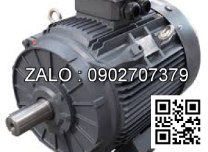 Motor điện 3 pha 22KW - 30HP 6 cực điện
