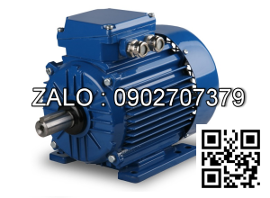 Motor điện 3 pha 37KW - 50HP 6 cực điện