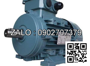 Motor chân đế 3 pha TransmaX 1.1kW (1500 RPM) 4 cực Vỏ gang