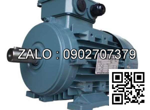 Motor chân đế 3 pha TransmaX 3kW (1000 RPM) 6 cực Vỏ nhôm
