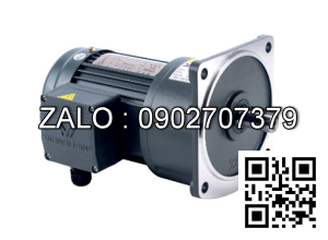 Motor giảm tốc 3 pha mặt bích TransmaX 200W 1/200 28mm