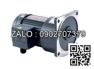Motor giảm tốc 3 pha mặt bích TransmaX 200W 1/160 28mm
