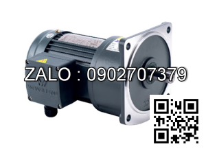 Motor giảm tốc 3 pha mặt bích TransmaX 200W 1/100 28mm