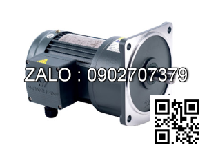 Motor giảm tốc 3 pha mặt bích TransmaX 200W 1/50 22mm