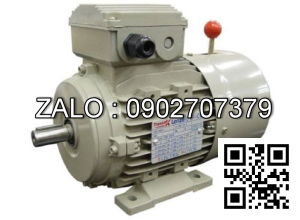 Motor mặt bích 3 pha TransmaX 200kW (1000 RPM) 6 cực Vỏ gang