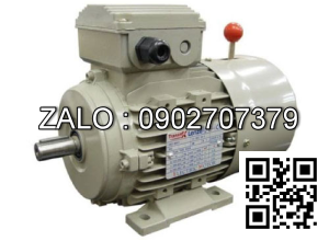Motor mặt bích 3 pha TransmaX 110kW (1000 RPM) 6 cực Vỏ gang