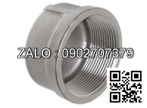 Nắp răng trong BSPT - gang DN25