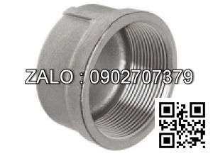 Nắp răng trong BSPT - gang DN50