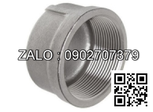 Nắp răng trong BSPT - gang DN100