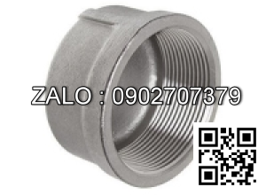 Nắp răng trong BSPT - mạ kẽm DN20