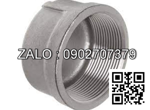 Nắp răng trong BSPT - mạ kẽm DN32