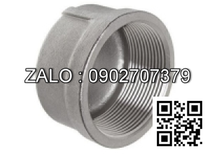 Nắp răng trong BSPT - mạ kẽm DN65