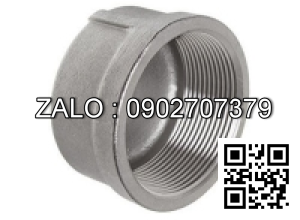 Nắp răng trong BSPT - mạ kẽm DN100