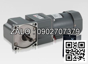 Motor giảm tốc mini Wanshsin 100YS160GV22 160W 1 Pha 220V