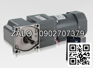 Motor giảm tốc mini Wanshsin 100YS140GV22 140W 1 Pha 220V