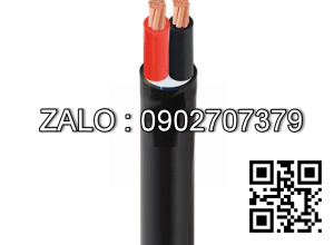Cáp điện Cadivi CVV-2×10 (2×7/1.35) 300/500V