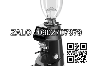 Máy xay cà phê Fiorenzato F64E