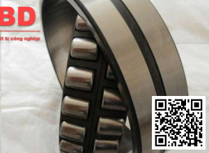 Vòng bi FAG 3207A-2RS1