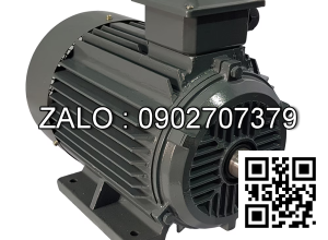 Motor điện chân đế YE2-160L-2-B3, công suất : 18.5kW , Đường kính trục : 42mm , Tốc độ : 2 Cực ( ~2800 Vòng/Phút)