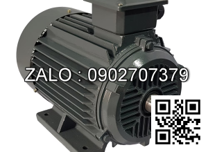 Motor điện chân đế YE2-160L-4-B3, công suất : 15kW , Đường kính trục : 42mm , Tốc độ : 4 Cực ( ~1400 Vòng/Phút)