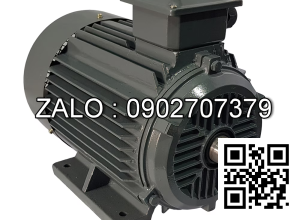 Motor điện mặt bích YE2-180L-6-B5 , Công suất : 15kW , Đường kính trục : 48mm , Tốc độ : 6 Cực ( ~900 Vòng/Phút)