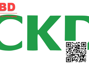 CKD NCK-00-1.2-N1