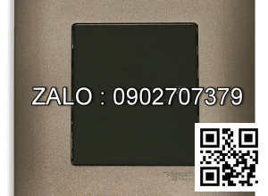 Công tắc 2 cực Clipsal / Schneider E8431D20_SZ_G19