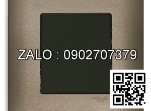 Công tắc 2 cực Clipsal / Schneider E8431D32_SZ_G19
