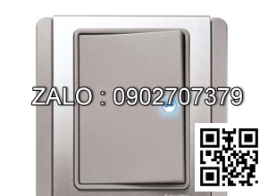 Công tắc 2 cực Clipsal / Schneider E3031HD20_EBGS_G19